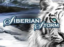 Siberian Storm cover